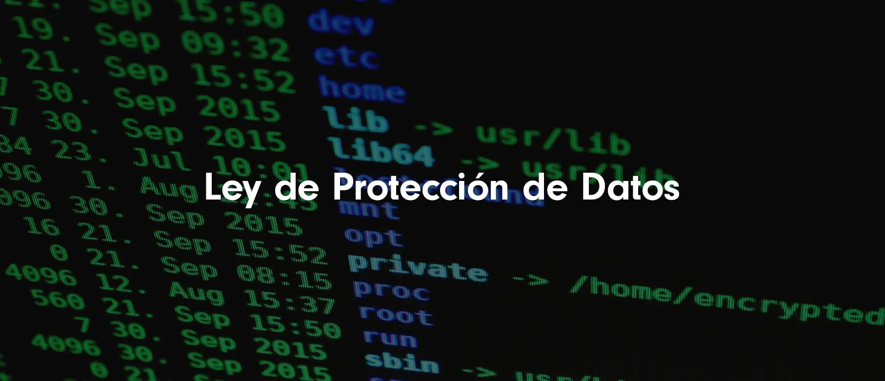 La Nueva Regulación de Protección de Datos en México: Una Mirada Detallada