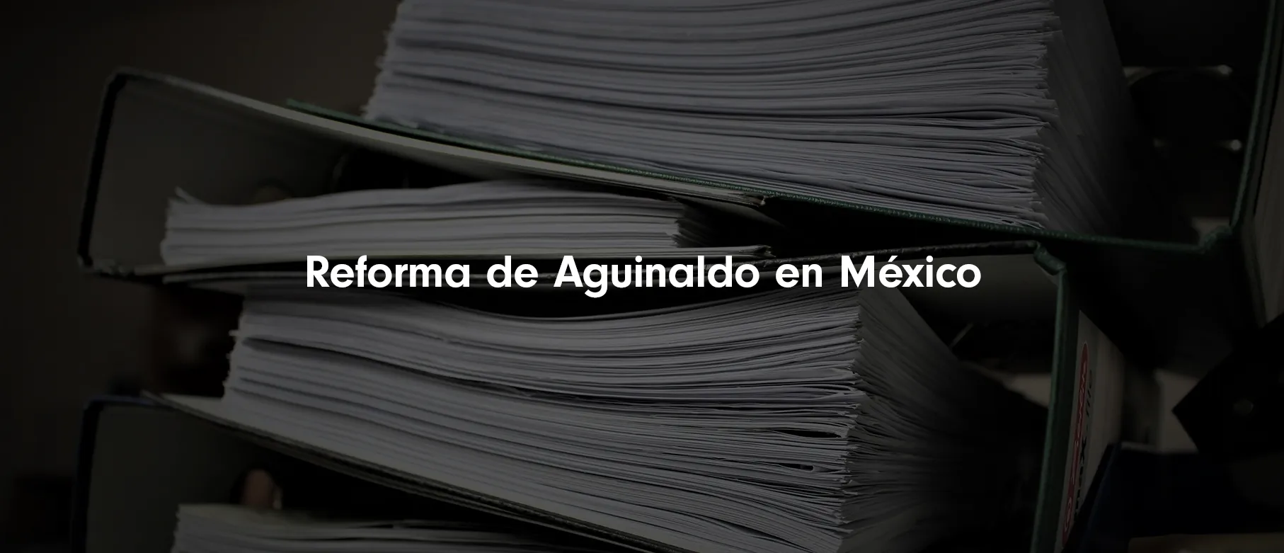 Aguinaldo de 30 Días para el Sector Privado: propuesta de Reforma
