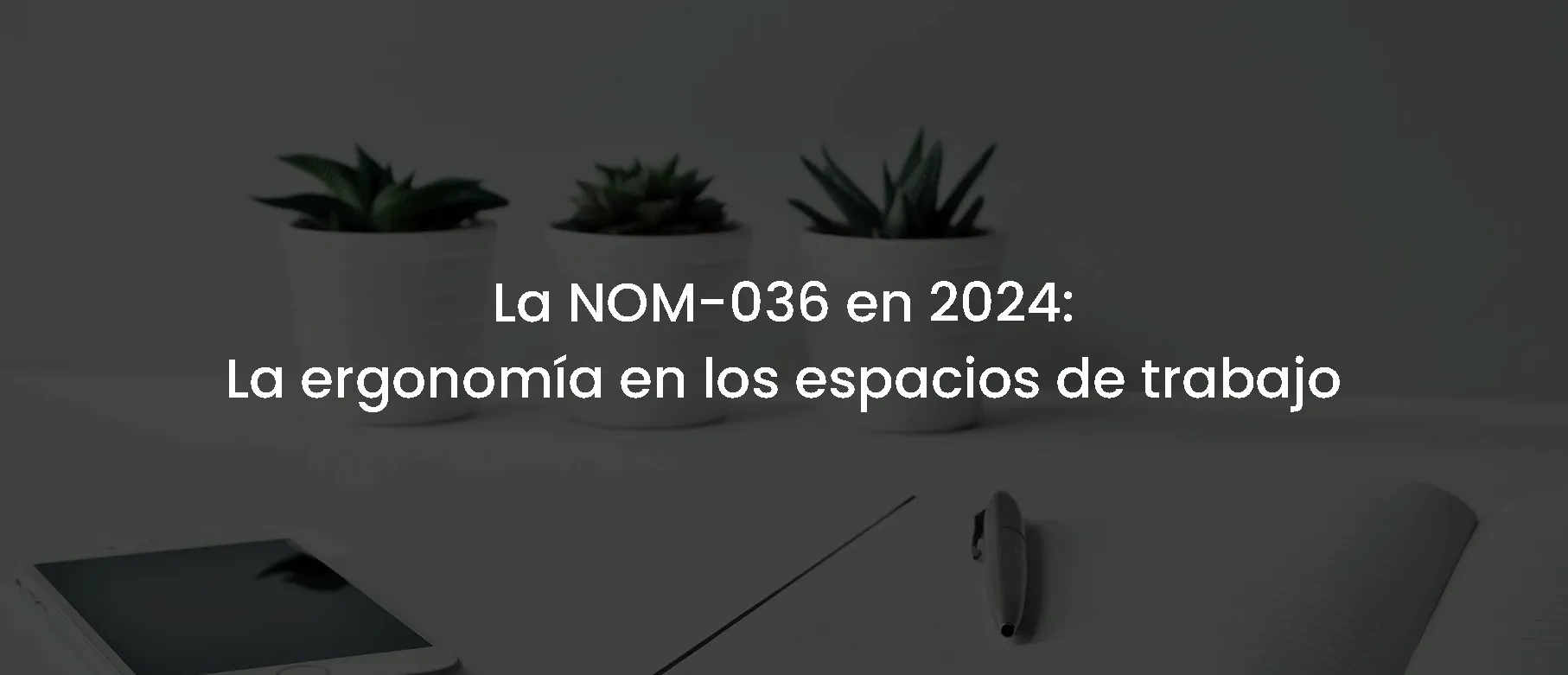 La NOM-036 en 2024: La ergonomía en los espacios de trabajo